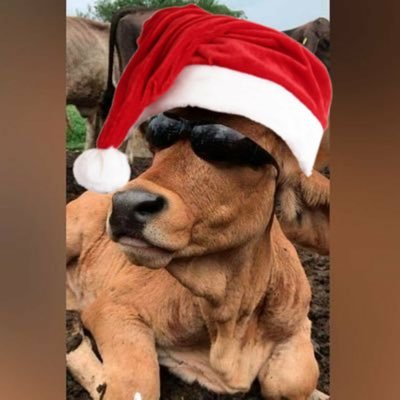 oscargom19's profile picture. ¡NACIONAL DALE CAMPEÓN!