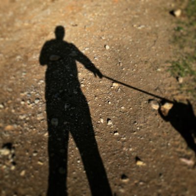 k_schlank's profile picture. 