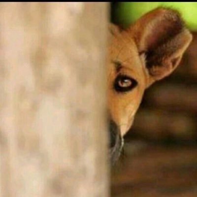 ema_4647's profile picture. Barcelona ❤️, Messi 🐐👑, God did 🙏.