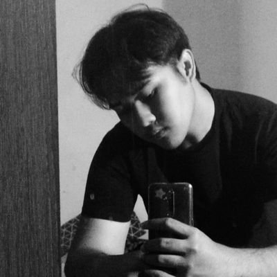 shino_shioo's profile picture. do not disturb