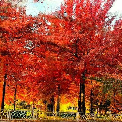 passion5060's profile picture. 열심히 사는사람