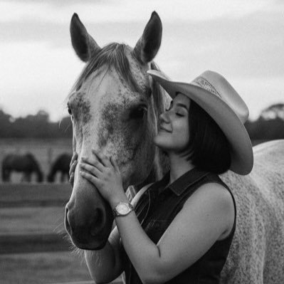 mjpaz01's profile picture. una rosa que no floreció.