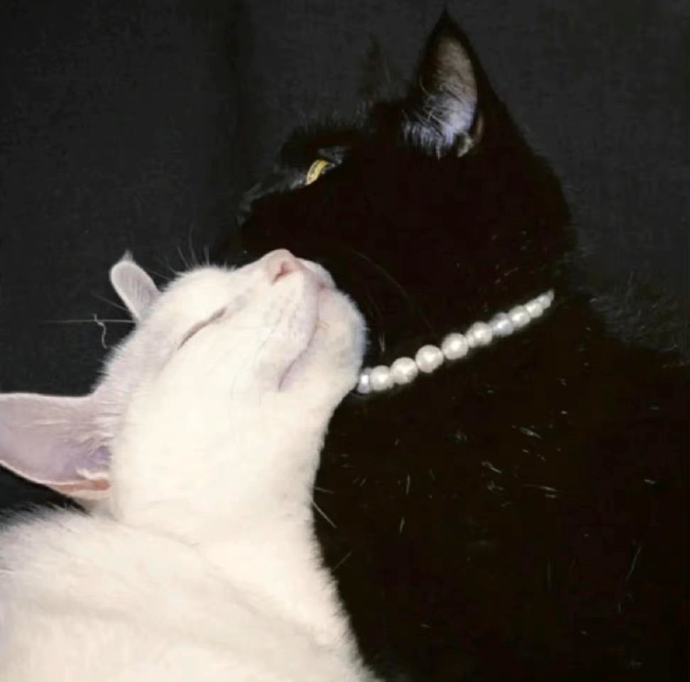 Justinwukeup's profile picture. 