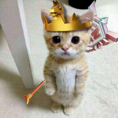 NovaTheAnalyst's profile picture. Analyses | Stats | Scout-Reports