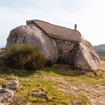 aid1710's profile picture. 