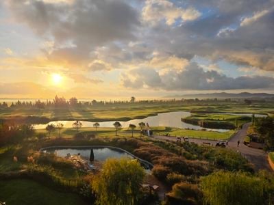 DavisQuiss's profile picture. 