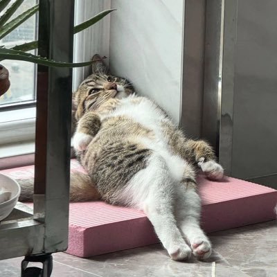 dareemq's profile picture. 🍓🍒