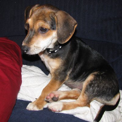 JimMoore849's profile picture. US Navy veteran (71 - 79) and Retired President/CEO of an AGV company. #MAGA 1A 2A Punish the guilty!
🚫 DMs