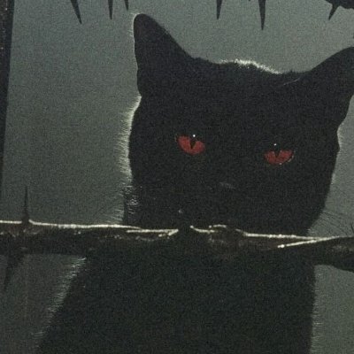 Guerrafps_'s profile picture. 