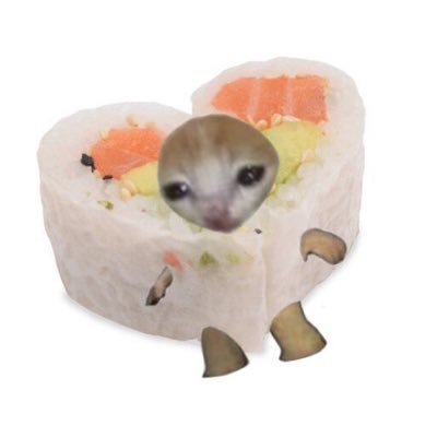 raiodegirassol's profile picture. #edtwt | já fui uma bolinha de: 64kg | atualmente: 58,35kg | meta: 45kg 🦴🍤 | toc & bipolar 🥗