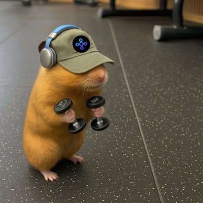 mikeghweb_3's profile picture. 