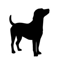 ポンタ (@mkm9962) 's Twitter Profile Photo