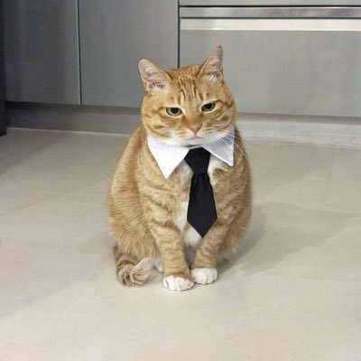 imholderboy's profile picture. Law student | Crypto & Ai enthusiast https://t.co/Lf8SgFGd7N