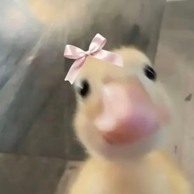 chakkapazhamm's profile picture. unstable? yes. unbothered? also yes.