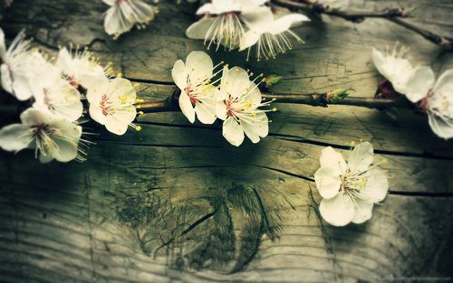 magdajezierska's profile picture. 