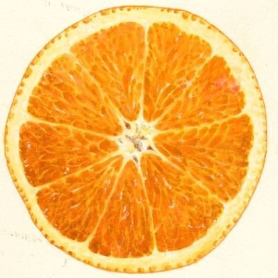 eamonn_stamp's profile picture. everything's fucked