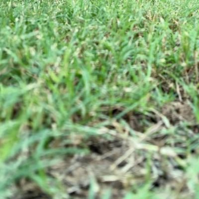 KrishhPand25435's profile picture. 