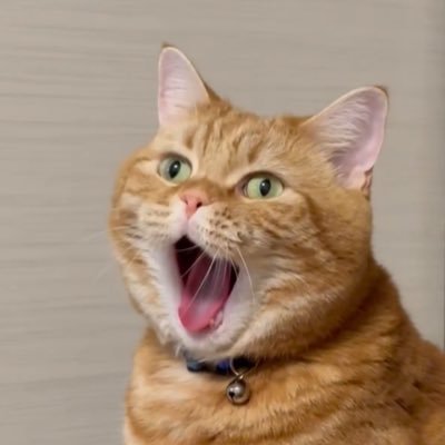 sato38_6's profile picture. すっごくなりたい