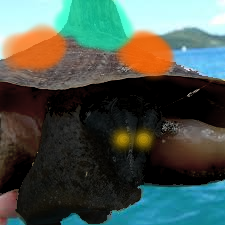 iridescentlyric's profile picture. Lumica