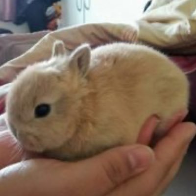 AubreeJonesLULZ's profile picture. my friends are so cool || not parody sorry