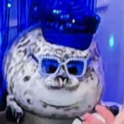 The_Pheal's profile picture. Millie (she/her) - but a small pheal in a big pheal world