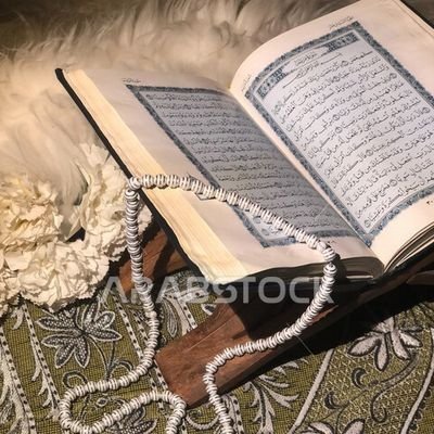 الشيخ ابو سعد (مفسر احلام) Profile