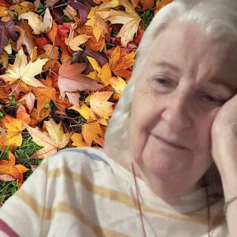 LindaLBelk's profile picture. Conservative Christian. Happily Married. Pray for The USA Trump2024🇺🇸 NO DMs! I MEAN IT!🚫 #MAGA Pro-Freedom, Pro-Gun,Proud MAGA Extremist ❤️