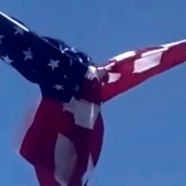 TJRedQ17's profile picture. 