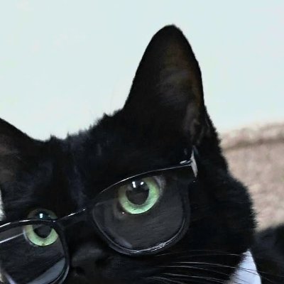 cinnadoom's profile picture. meowing at the moon