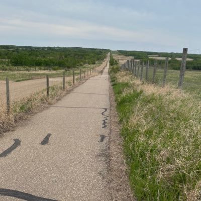 Brodster5's profile picture. 