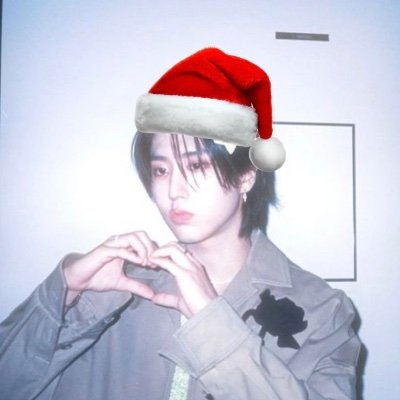 nick_nalt's profile picture. (very) multifandom!
han ult🐿️