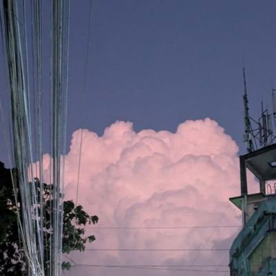 NewMovie2N's profile picture. 