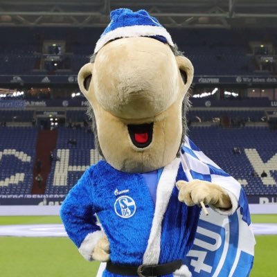 namenlos_2025's profile picture. Joko & Klaas Fan (Team Joko bei #DudW) | Schalker ⚒️ | Repost-Frei | #FckNzs #FckAfd