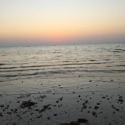 Mahmooddallal's profile picture. 