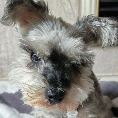 alantaylor44811's profile picture. 2020 opened a can of worms they can't close.
Apparently I'm 'uniquely wired'. 
NO DM's PLEASE: Thanks👍