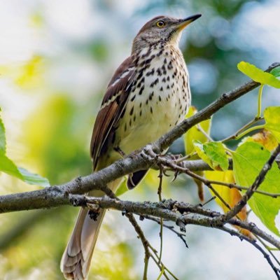 paulfinnegan3's profile picture. 