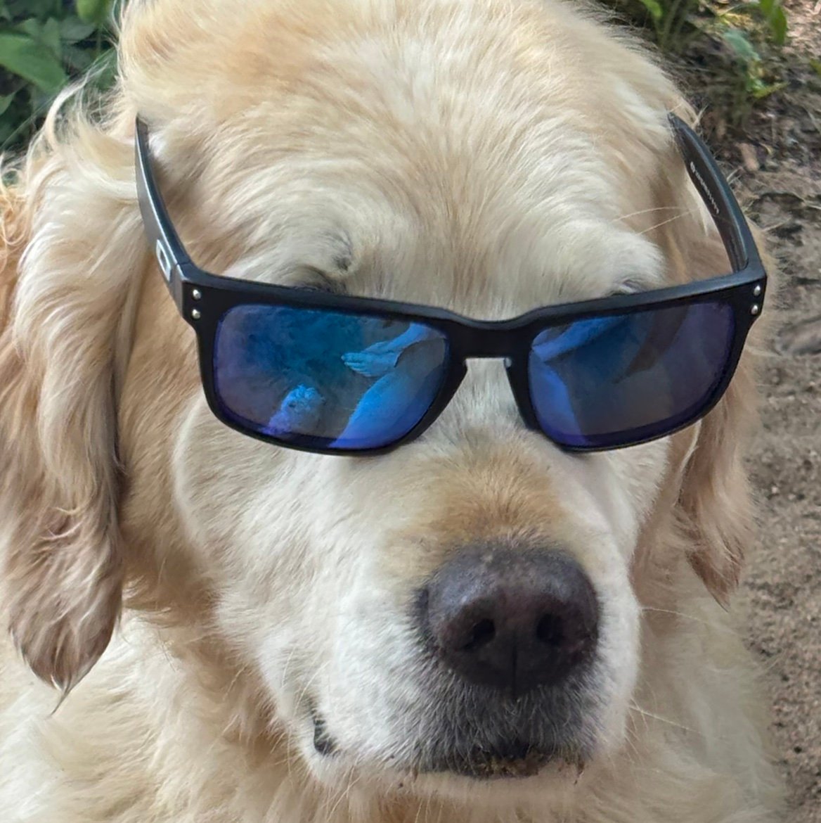 iwvrgsjrb's profile picture. 