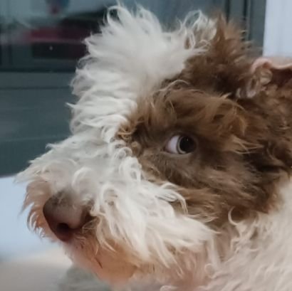 d4dtor1's profile picture. 