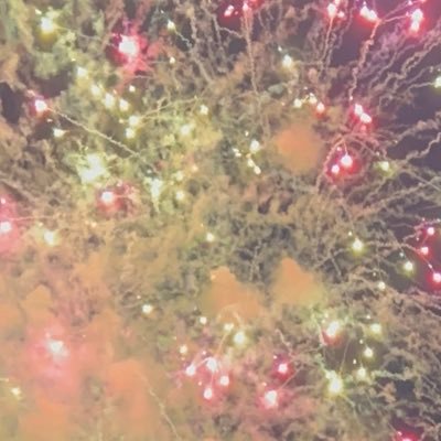 Liljad03's profile picture. 