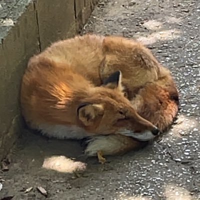 soratundok's profile picture. 新卒Webエンジニア