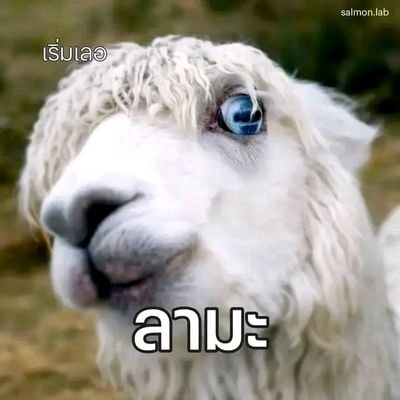 mazxx_23's profile picture. 🩵 palitchoke 🩵
#โตแล้วจะมีเมนกี่คนก็ได้