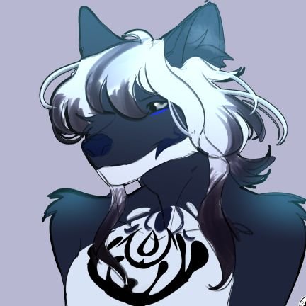 Jojodemon333's profile picture. ᚖ   ▄▄▄▄▄▄▄▄▄▄▄▄▄▄▄▄▄▄▄  ⬧

『 fã de Bayonetta 🏳️‍🌈 💛🤍💜🖤| ESFJ |
Bem vindos ao oceano. •˚° 〇 』       

⊰🫐💙 @M4jorthewolf 🧡🍊⊱