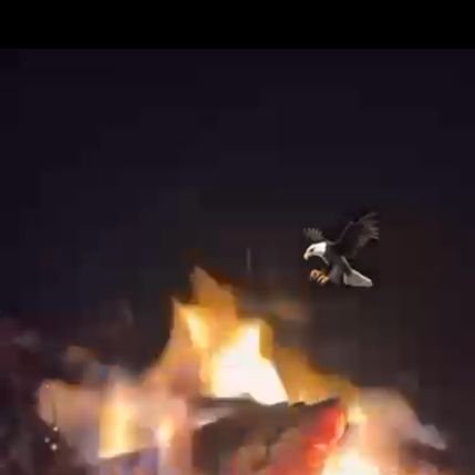 Serkankurt94192's profile picture. 