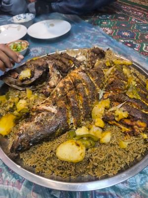 falkonsami49594's profile picture. 