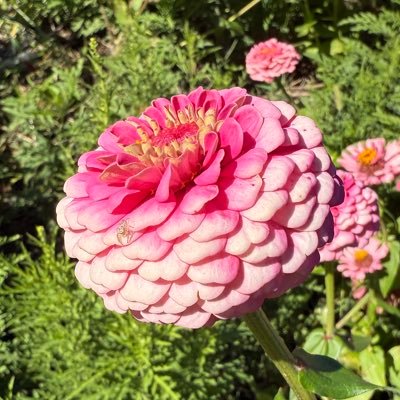 brettxtay's profile picture. 🌻 Elder Millennial Swiftie. 🏳️‍🌈.