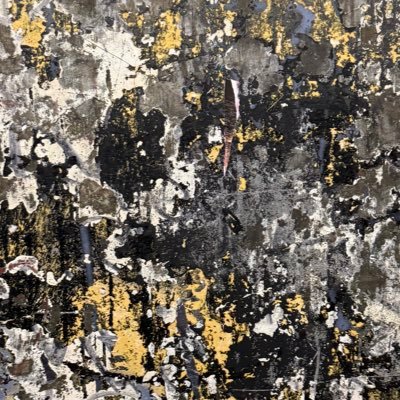 dapitalz's profile picture. internet kolektur /////// ragebait is free money