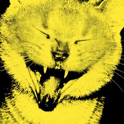 urubas_'s profile picture. 🪤🐀🐈‍⬛