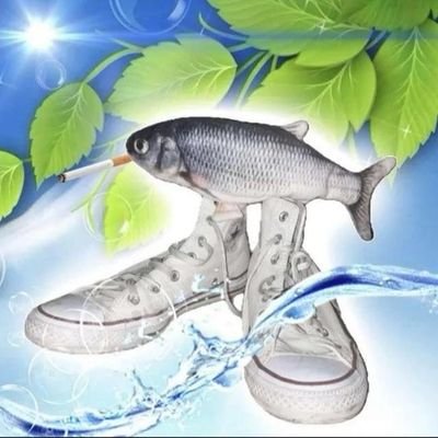 dark__woke's profile picture. my blue checkmark blocks are automated.
i'm whatever gender you think i am.