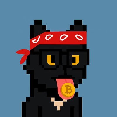 DemisKrypto's profile picture. from the block to the blockchain but somehow still ended up in the trenches ..