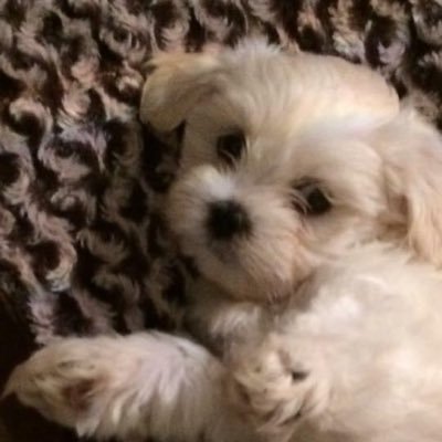 waudby_adam123's profile picture. 